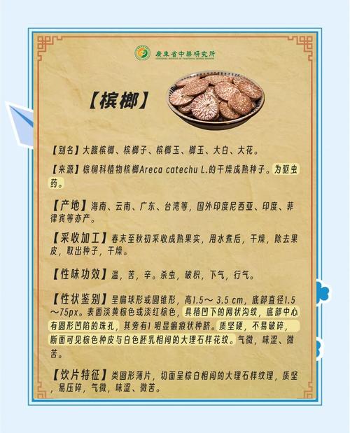 槟榔是什么东西，它的功效与作用危害，槟榔是什么有什么危害-第1张图片-优品飞百科