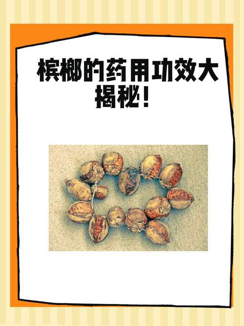槟榔是什么东西，它的功效与作用危害，槟榔是什么有什么危害-第2张图片-优品飞百科