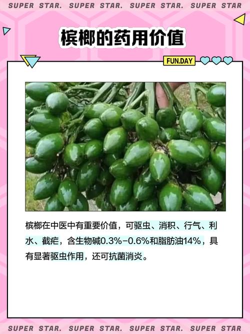 槟榔是什么东西，它的功效与作用危害，槟榔是什么有什么危害-第4张图片-优品飞百科