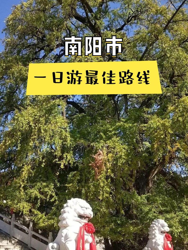 河南桐柏县天气预报，桐柏天气预报桐柏-第3张图片-优品飞百科