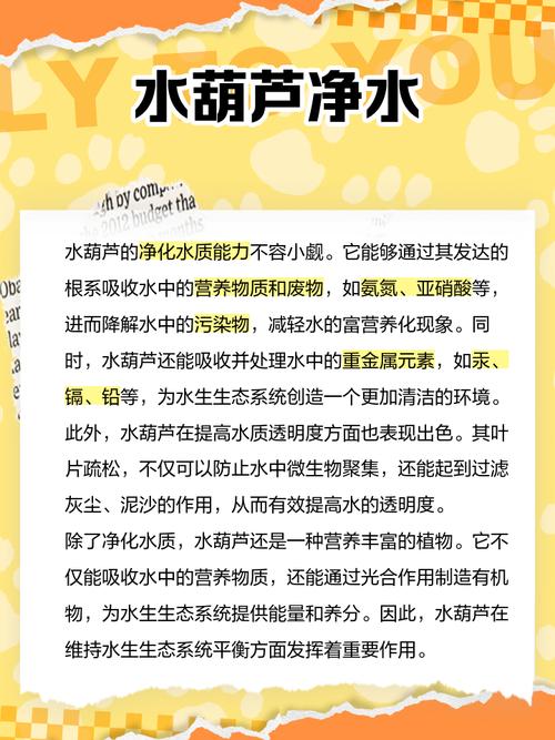 雨久花的功效和作用，雨久花有毒吗-第6张图片-优品飞百科