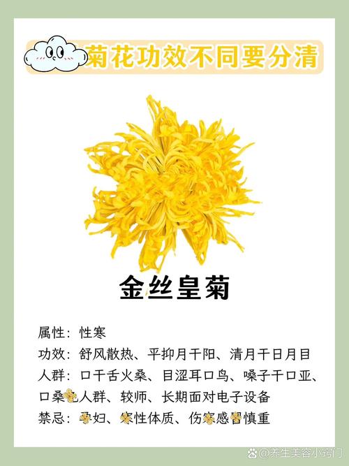 黄金菊的功效与作用？黄金菊的简介？-第2张图片-优品飞百科