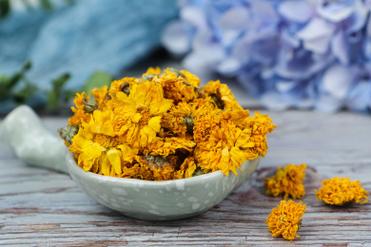 黄金菊的功效与作用？黄金菊的简介？-第5张图片-优品飞百科