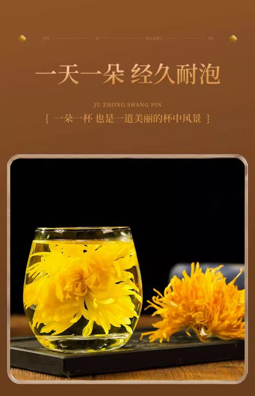 黄金菊的功效与作用？黄金菊的简介？-第6张图片-优品飞百科