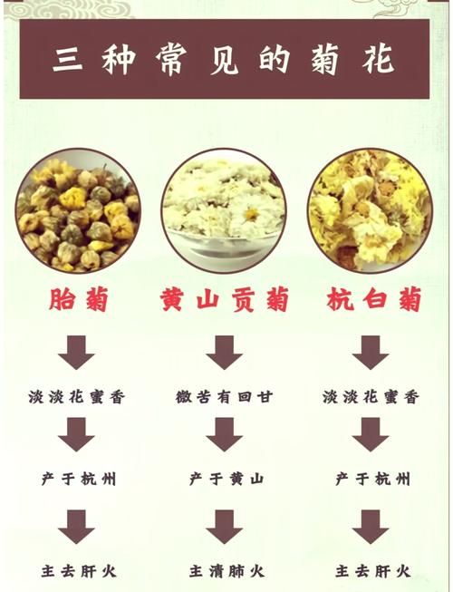 黄金菊的功效与作用？黄金菊的简介？-第7张图片-优品飞百科