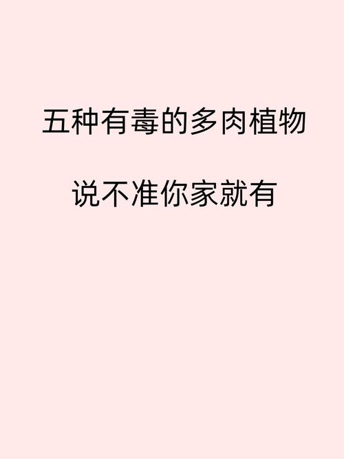 这8种多肉竟然有毒!家里有老人小孩的注意了!,哪些多肉有毒吗-第6张图片-优品飞百科 这8种多肉竟然有毒!家里有老人小孩的注意了!,哪些多肉有毒吗-第6张图片-优品飞百科
