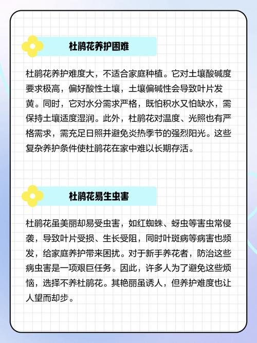 杜鹃花放在客厅好吗?杜鹃花放在客厅好吗视频?-第4张图片-优品飞百科 杜鹃花放在客厅好吗?杜鹃花放在客厅好吗视频?-第4张图片-优品飞百科