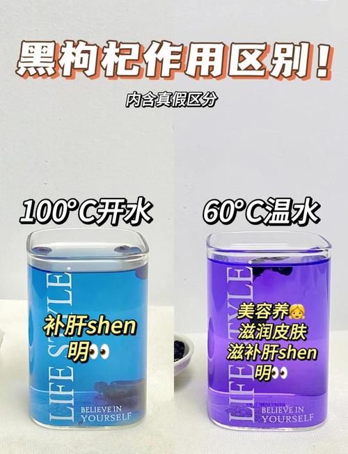 黑枸杞怎么泡，黑枸杞泡水一次放几粒，黑枸杞正确泡水？-第3张图片-优品飞百科