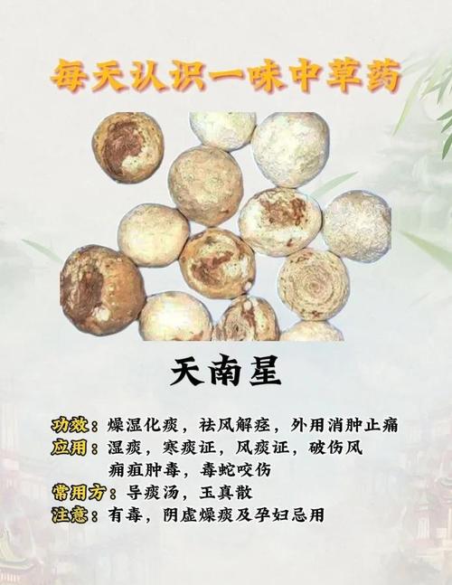 天南星有毒吗，天南星怎么服用无毒-第4张图片-优品飞百科