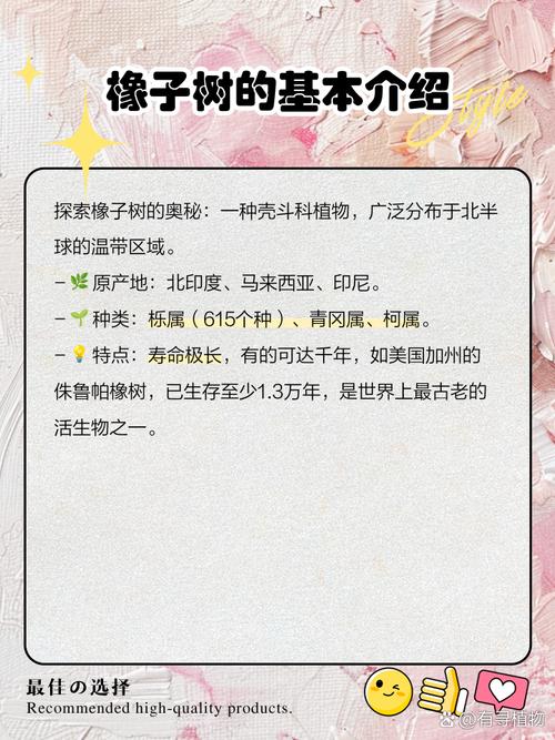 橡树的作用？橡树的作用和功效？-第2张图片-优品飞百科