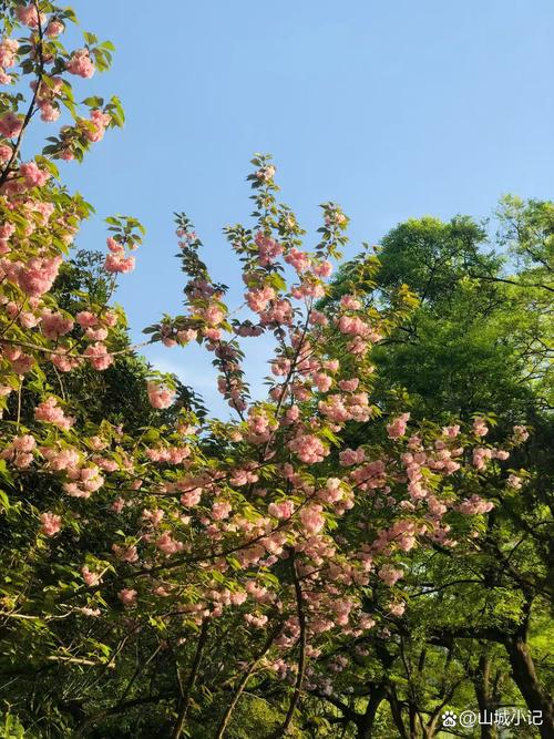 二七区天气预报,二七区天气预报时刻表最新?-第5张图片-优品飞百科 二七区天气预报,二七区天气预报时刻表最新?-第5张图片-优品飞百科