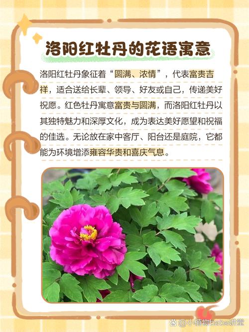 牡丹花的寓意和象征，翡翠牡丹花的寓意和象征？-第1张图片-优品飞百科