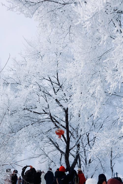 桦甸天气预报未来7天，桦甸天气预报实时-第7张图片-优品飞百科