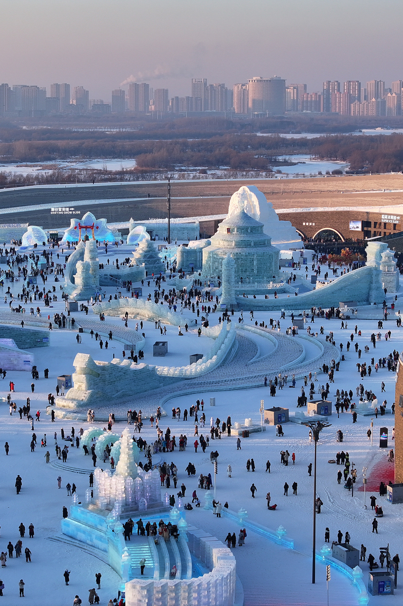 查一下大庆天气预报，查一下大庆天气预报15天？-第4张图片-优品飞百科