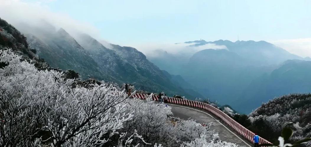 勐龙天气预报，勐龙天气预报15天查询结果？-第1张图片-优品飞百科