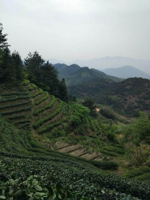 浙江天气查询预报，百度浙江天气预报-第1张图片-优品飞百科
