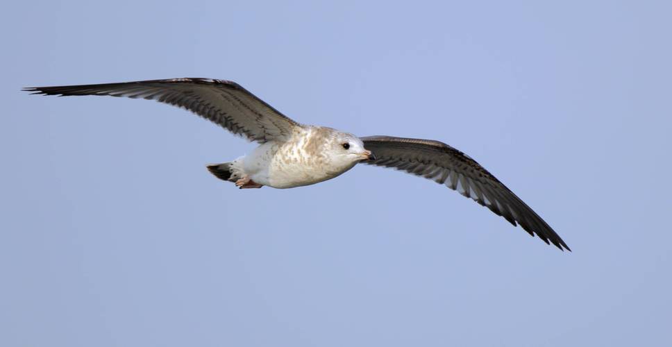 温州苍南马站天气预报，浙江苍南马站天气预报-第2张图片-优品飞百科