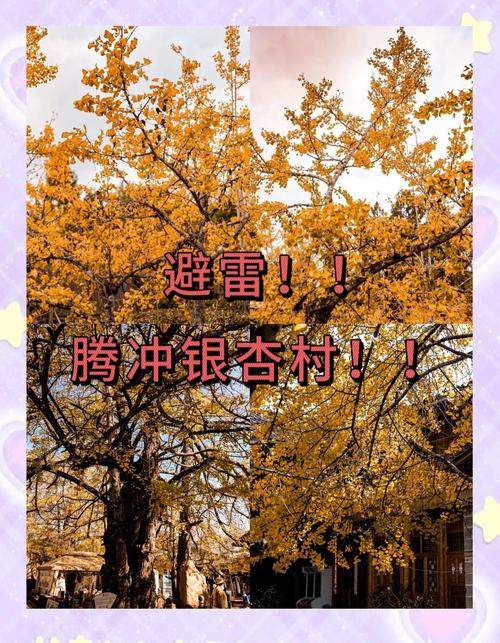 温州苍南马站天气预报，浙江苍南马站天气预报-第4张图片-优品飞百科