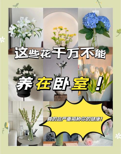 家庭养花有这四大禁忌！最后一个要特别注意！，家里养花的禁忌