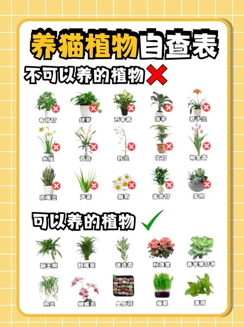 家庭养花有这四大禁忌!最后一个要特别注意!,家里养花的禁忌-第7张图片-优品飞百科 家庭养花有这四大禁忌!最后一个要特别注意!,家里养花的禁忌-第7张图片-优品飞百科