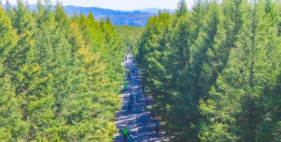 武川天气预报，武川天气预报30天-第3张图片-优品飞百科