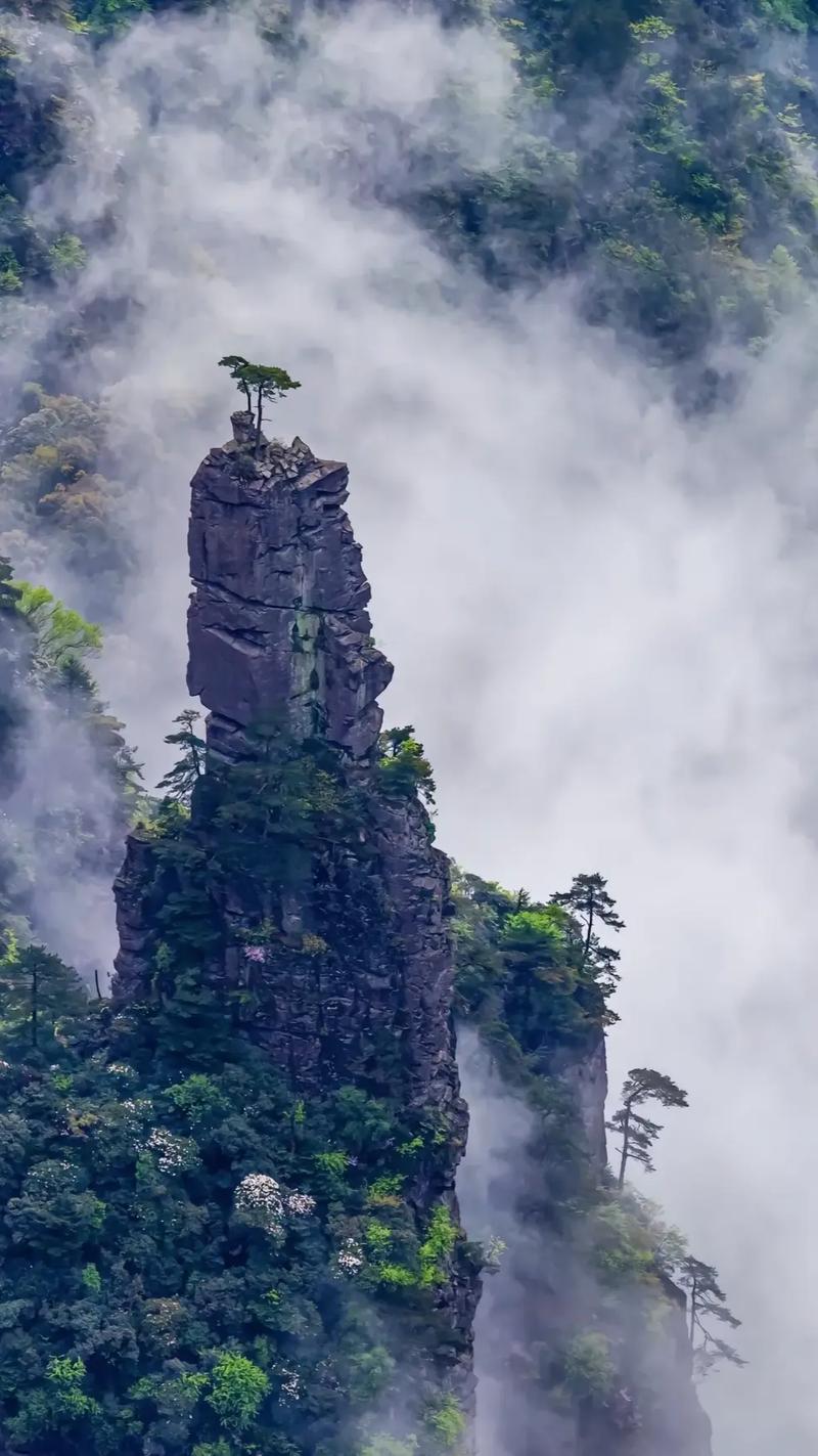 高山天气预报,高山天气预报app?-第4张图片-优品飞百科 高山天气预报,高山天气预报app?-第4张图片-优品飞百科
