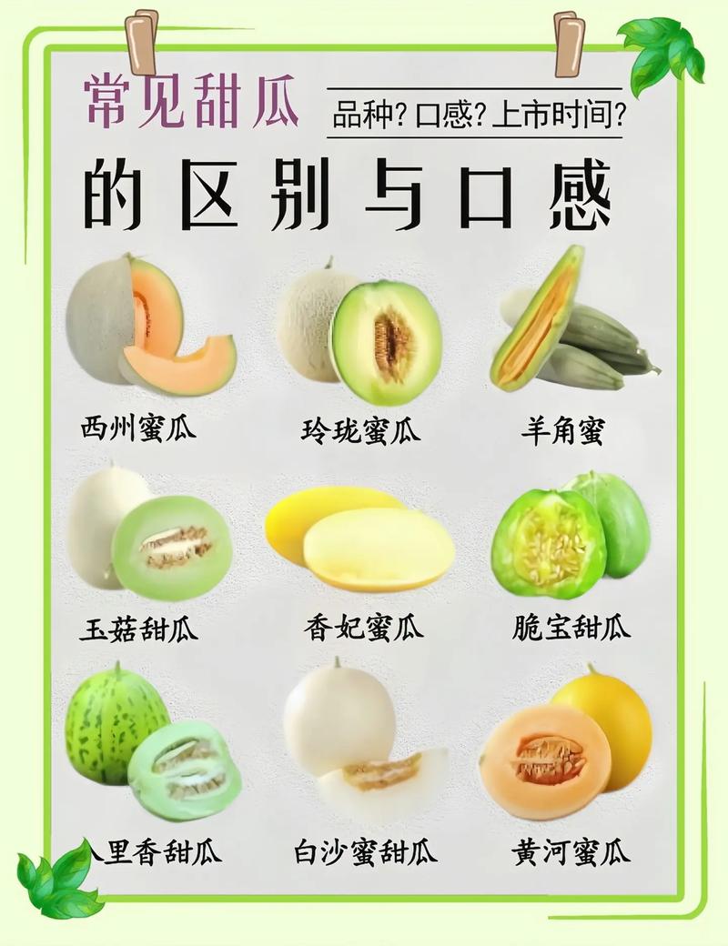 香瓜的功效与作用，香瓜的功效与作用热性还是凉性-第2张图片-优品飞百科