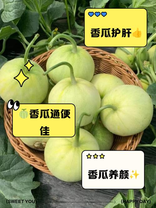 香瓜的功效与作用，香瓜的功效与作用热性还是凉性-第5张图片-优品飞百科