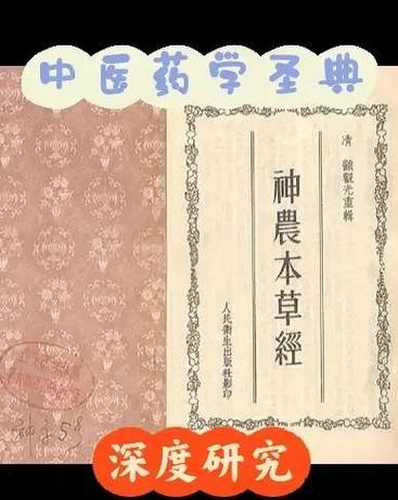 玉竹的作用，玉竹的图片，玉竹的药用价值和功效？-第1张图片-优品飞百科