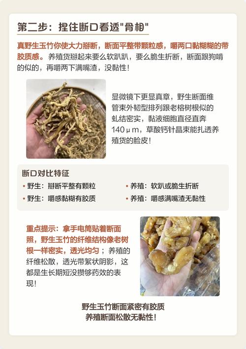 玉竹的作用，玉竹的图片，玉竹的药用价值和功效？-第4张图片-优品飞百科