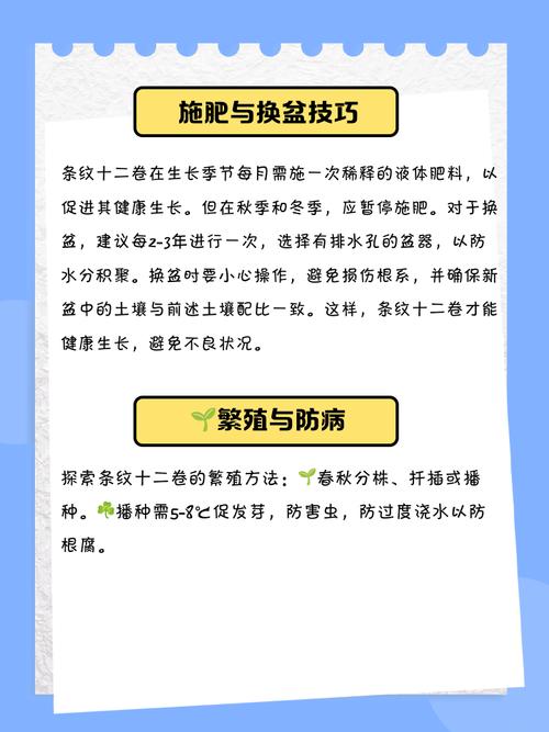 家庭养条纹十二卷有什么好处，条纹十二卷可以用水养吗-第3张图片-优品飞百科