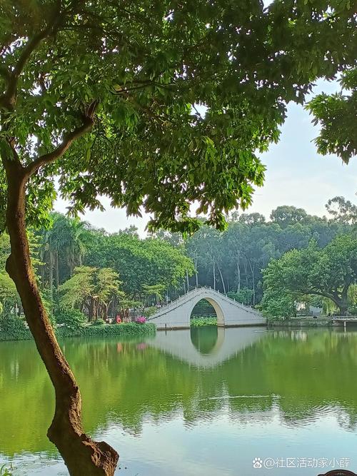 东莞15天天气预报，东莞15天天气预报最新版？-第6张图片-优品飞百科