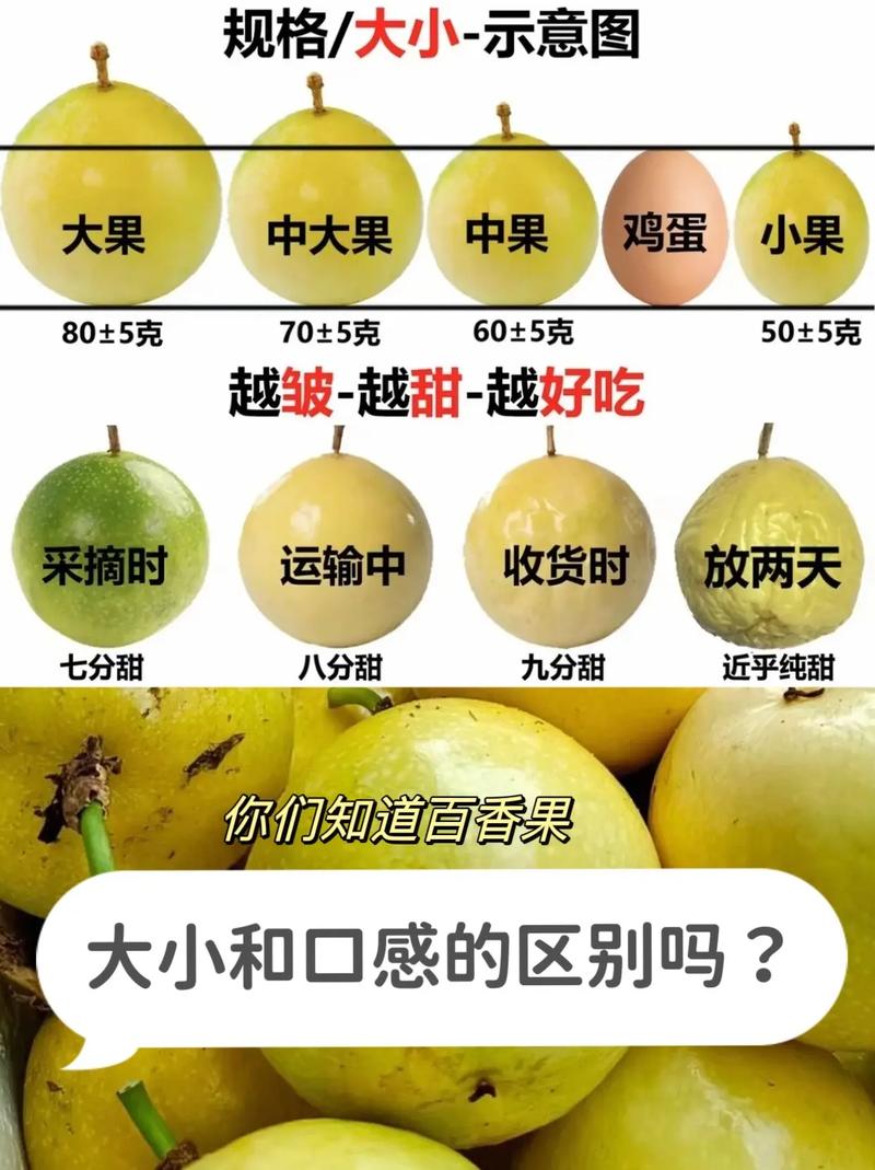 如何识别百香果好坏，如何保存更久？百香果怎么看是好的还是坏的？-第1张图片-优品飞百科