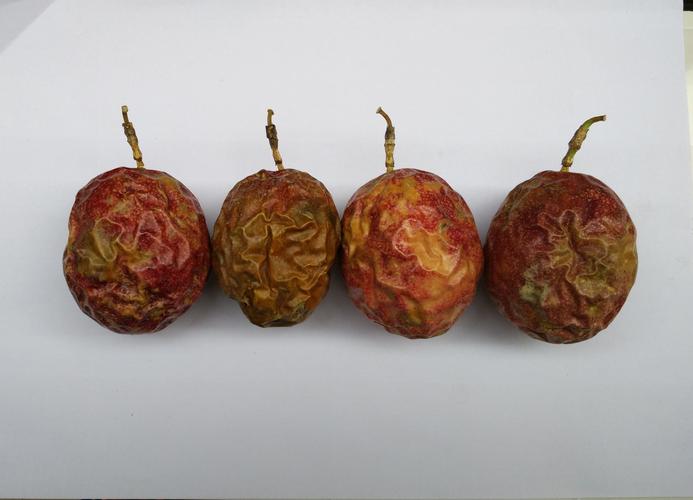 如何识别百香果好坏，如何保存更久？百香果怎么看是好的还是坏的？-第2张图片-优品飞百科