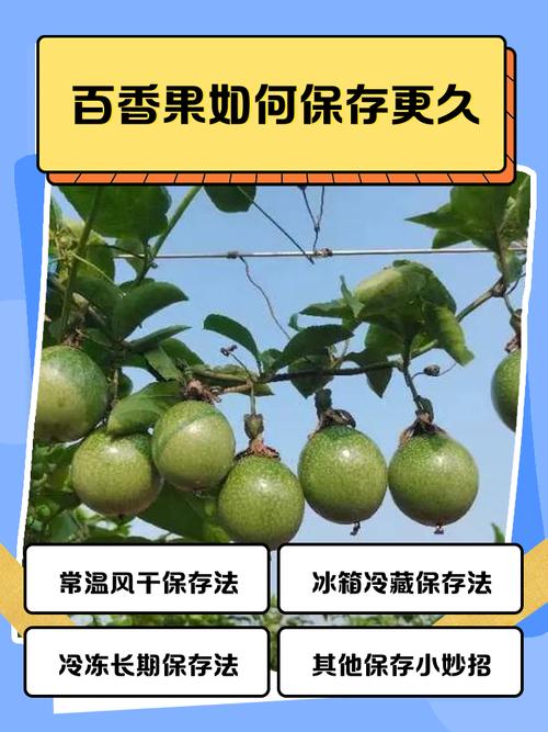 如何识别百香果好坏，如何保存更久？百香果怎么看是好的还是坏的？-第3张图片-优品飞百科