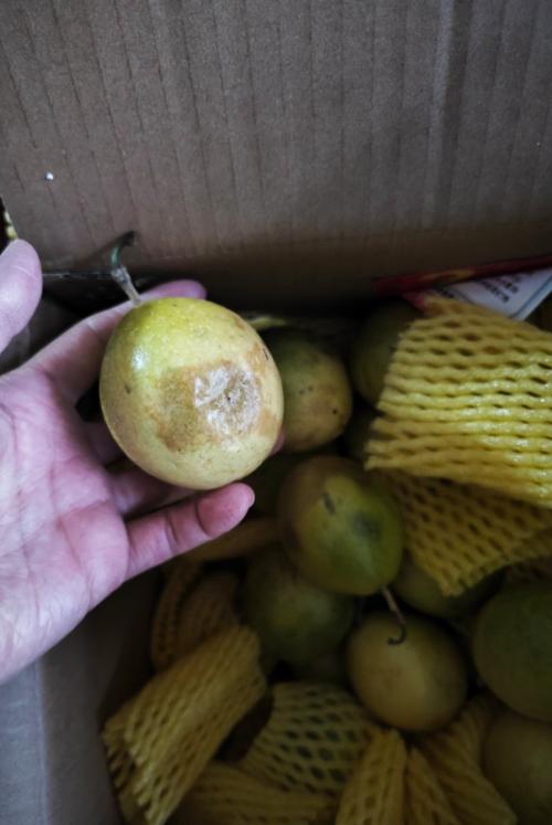 如何识别百香果好坏，如何保存更久？百香果怎么看是好的还是坏的？-第4张图片-优品飞百科