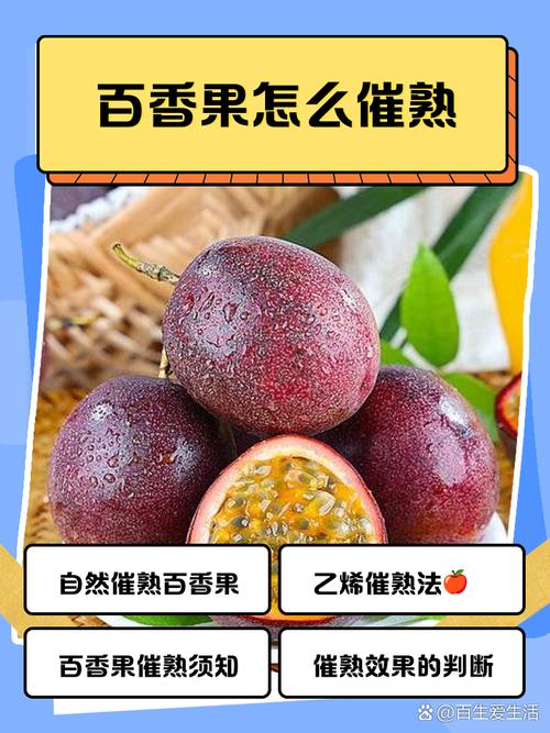 如何识别百香果好坏，如何保存更久？百香果怎么看是好的还是坏的？-第5张图片-优品飞百科