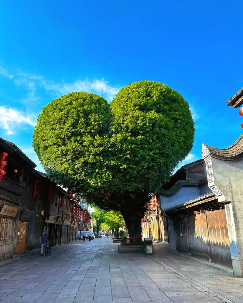 琅岐天气预报，马尾琅岐天气预报-第1张图片-优品飞百科