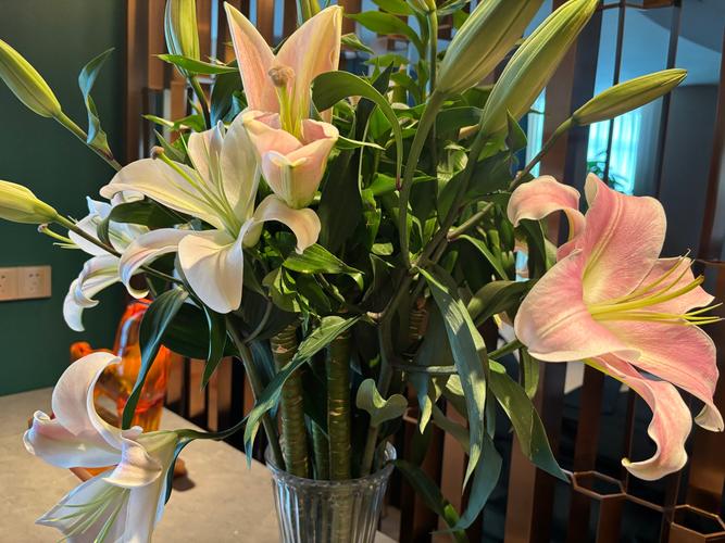 百合花有毒吗，白色百合花有毒吗-第2张图片-优品飞百科