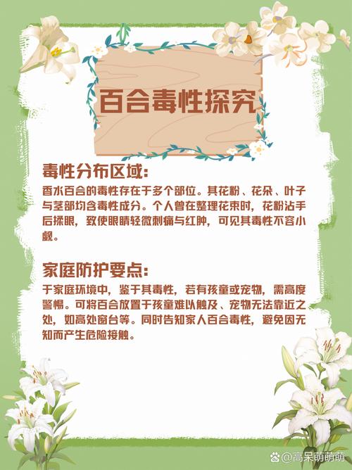 百合花有毒吗，白色百合花有毒吗-第4张图片-优品飞百科