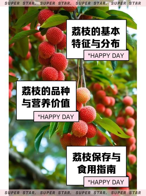 荔枝的功效与作用，荔枝的功效与作用是什么-第5张图片-优品飞百科