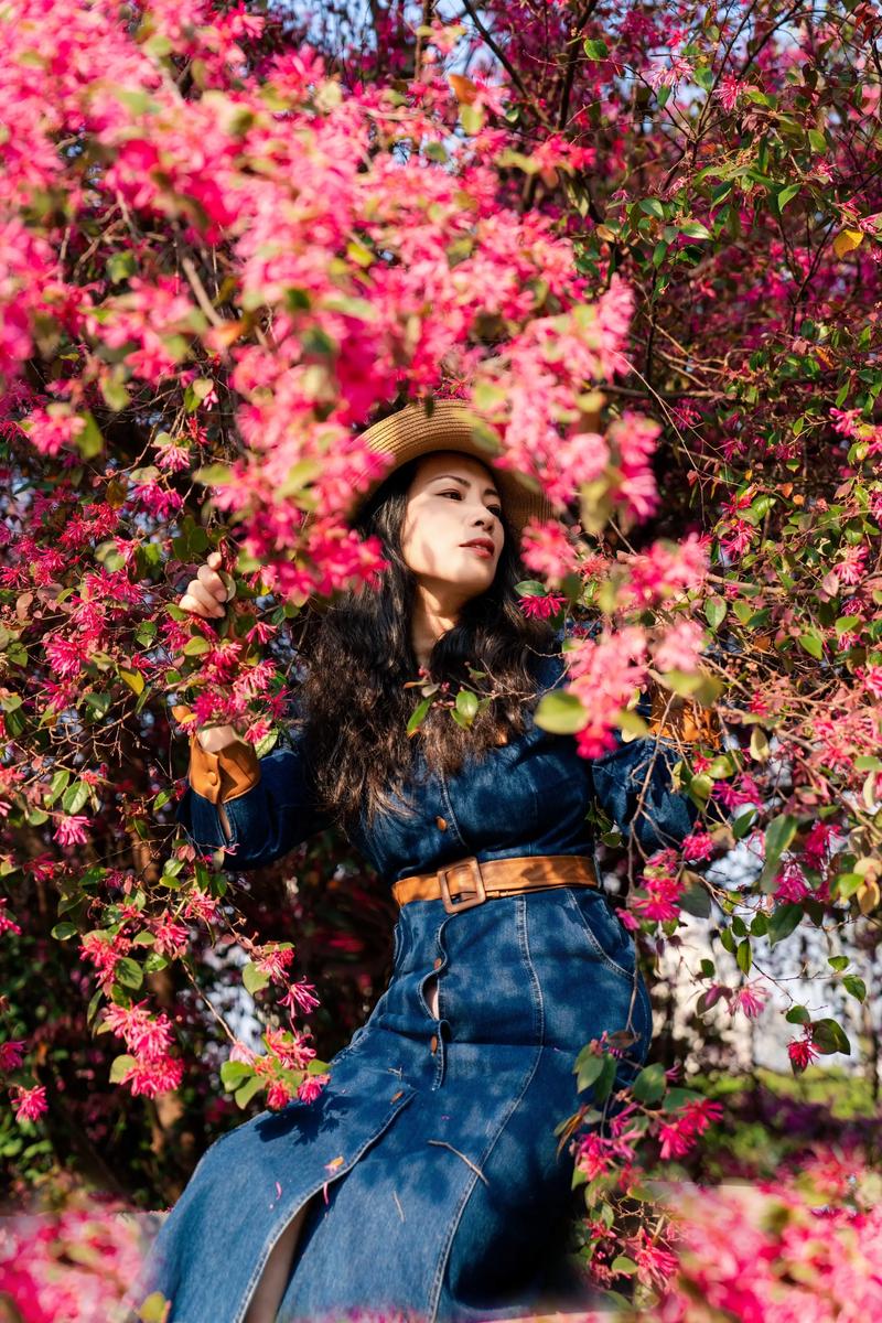 温州适合养什么花，市花和市树是什么，温州哪里花多？-第7张图片-优品飞百科