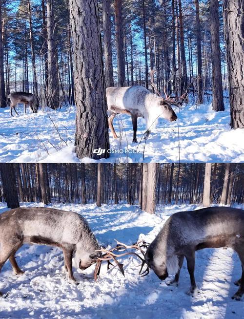 漠河15天天气预报？漠河9月天气预报15天？-第2张图片-优品飞百科