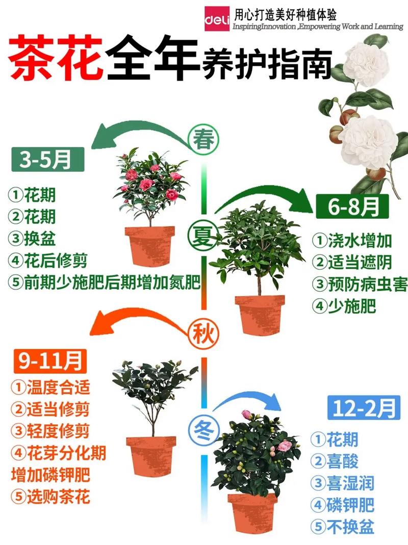 家里为什么不能养茶花,家庭不宜养茶花的原因-第3张图片-优品飞百科 家里为什么不能养茶花,家庭不宜养茶花的原因-第3张图片-优品飞百科