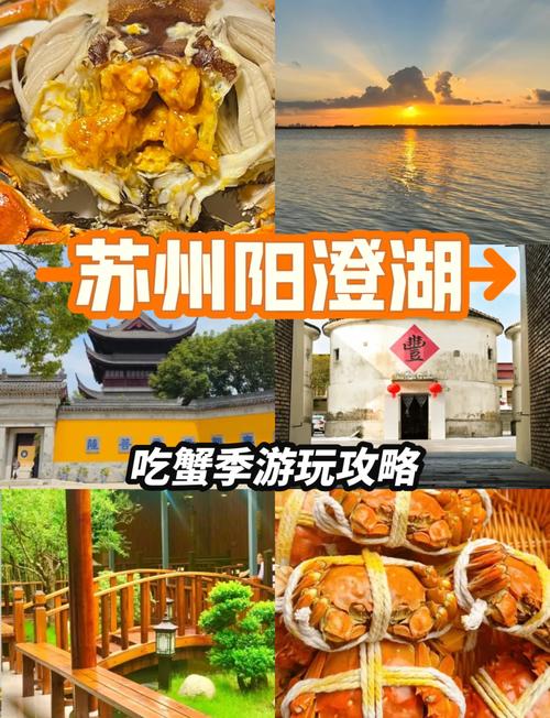 阳澄湖天气预报？阳澄湖天气预报15天查询结果？-第4张图片-优品飞百科