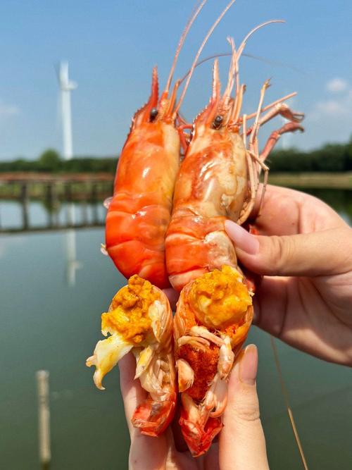 阳澄湖天气预报？阳澄湖天气预报15天查询结果？-第5张图片-优品飞百科