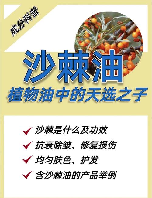 沙棘油多少钱一瓶，沙棘油的功效与作用，沙棘油的用法与用量-第4张图片-优品飞百科