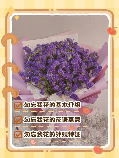 勿忘我的花语是什么？勿忘我的花语是什么意思？-第1张图片-优品飞百科