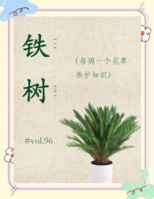 铁树会开花吗是什么意思，铁树会开花嘛?-第4张图片-优品飞百科