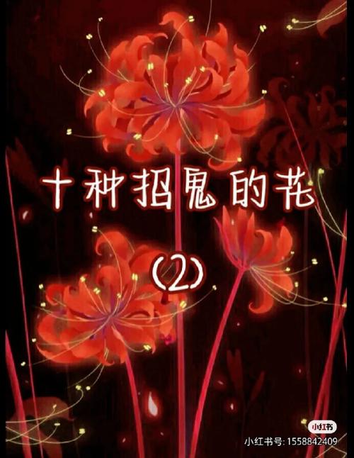 彼岸花为什么不能养？彼岸花招财还是破财？-第2张图片-优品飞百科